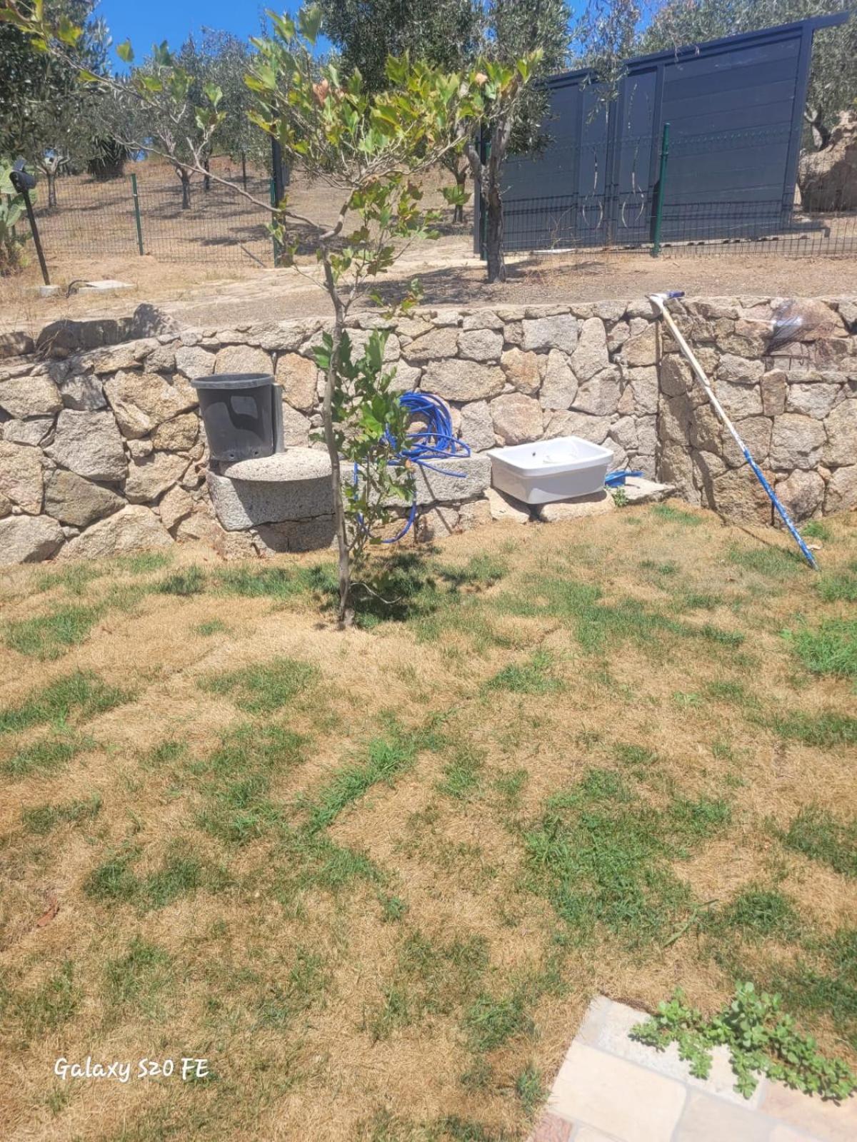 Residenza Degli Ulivi Daire Olbia Dış mekan fotoğraf