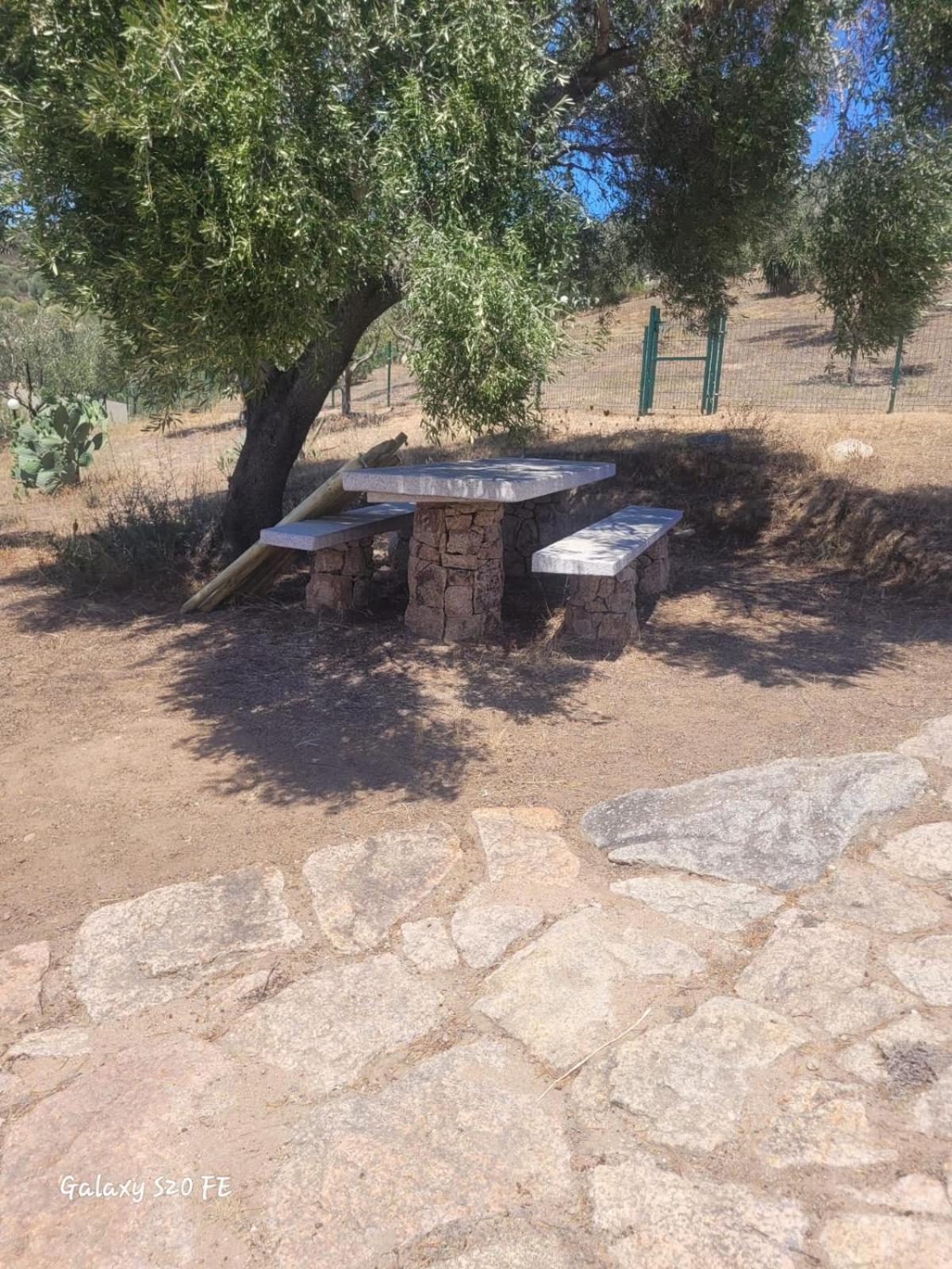 Residenza Degli Ulivi Daire Olbia Dış mekan fotoğraf